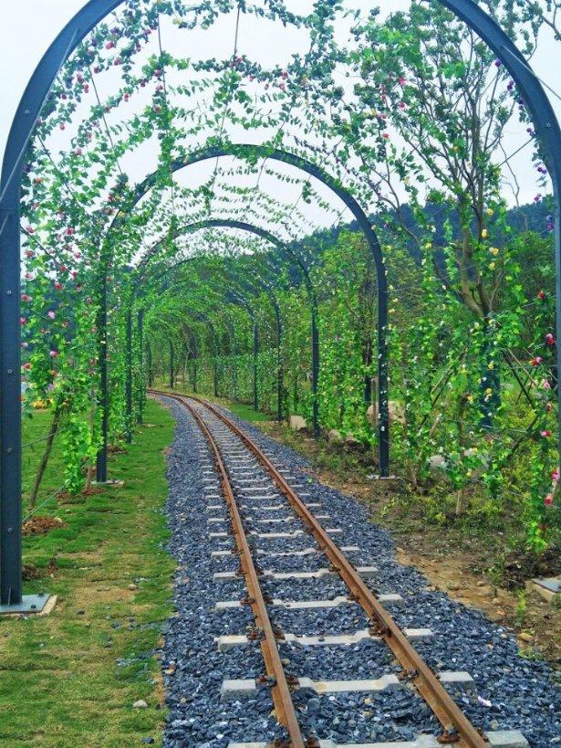看看你知道吗？