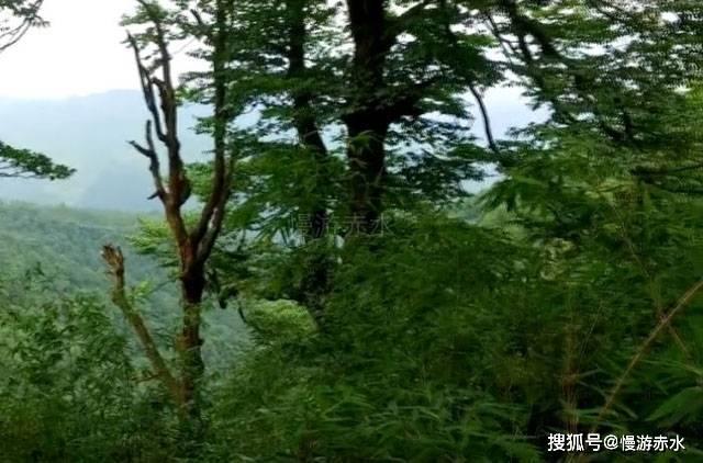 《穿越北京中轴线》新书分享会在京举办